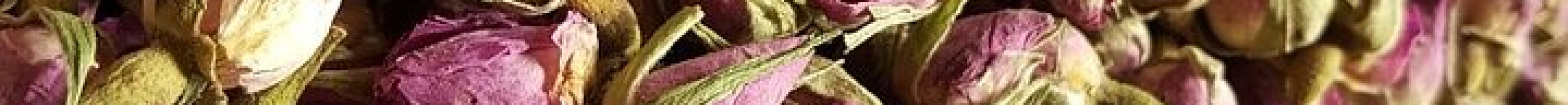 dried-roses-3443913_960_720 dried-roses-3443913_960_720